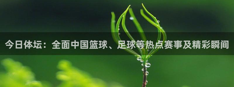 五星体育李兵：今日体坛：全面中国篮球、足球等热点赛事及精彩瞬间