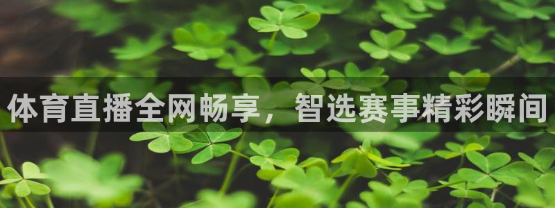 上海五星体育比赛直播：体育直播全网畅享，智选赛事精彩瞬间
