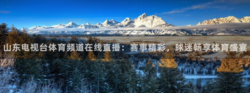 f1直播在线观看五星体育：山东电视台体育频道在线直播：赛事精彩，球迷畅享体育盛宴
