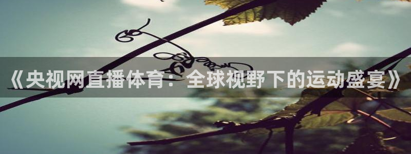 五星体育直播在线观看f1：《央视网直播体育：全球视野下的运动盛宴》