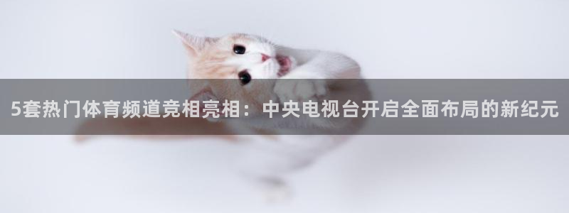 手机五星体育直播：5套热门体育频道竞相亮相：中央电视台开启全面布局的新纪元
