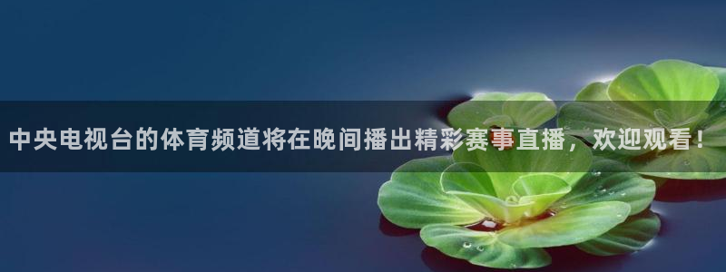 五星体育今天直播节目表：中央电视台的体育频道将在晚间播出精彩赛事直播，欢迎观看！