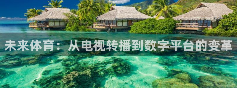五星体育直播：未来体育：从电视转播到数字平台的变革