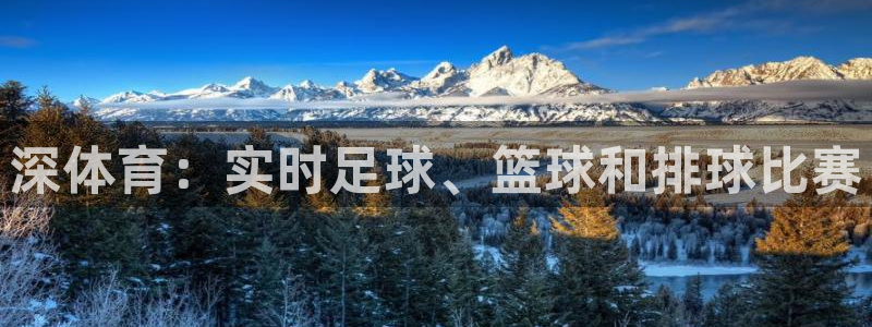 五星体育 电视盒子：深体育：实时足球、篮球和排球比赛