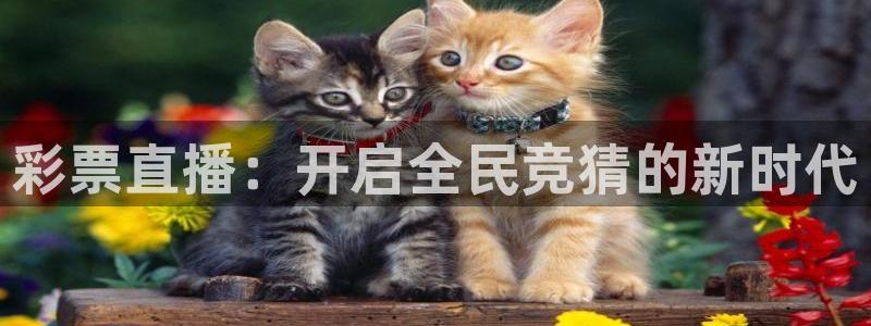 五星体育app官网：彩票直播：开启全民竞猜的新时代