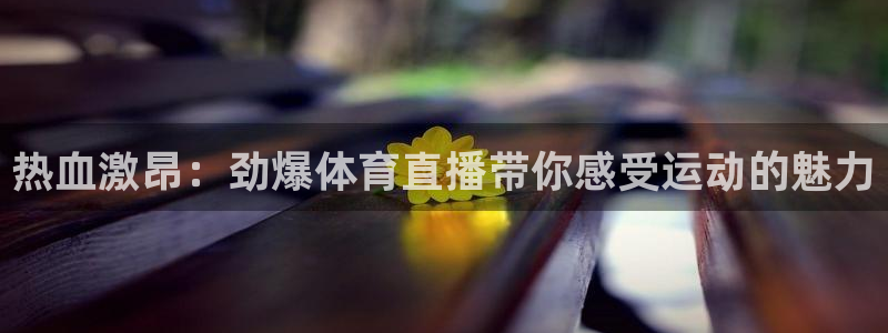 五星体育节目单表今天：热血激昂：劲爆体育直播带你感受运动的魅力
