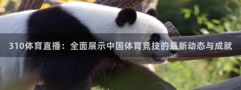 五星体育频道在线观看