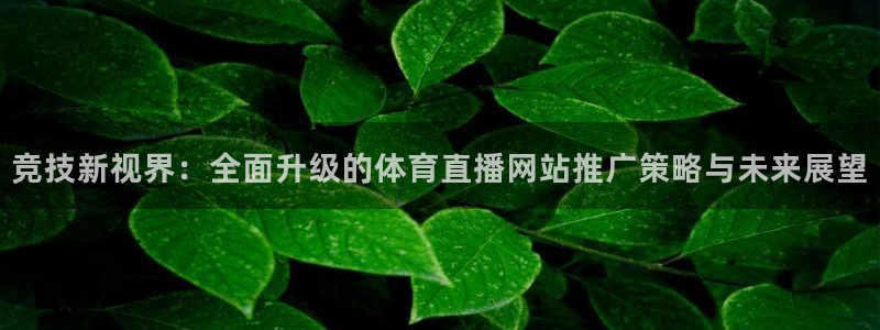 上海五星体育今晚的节目：竞技新视界：全面升级的体育直播网站推广策略与未来展望
